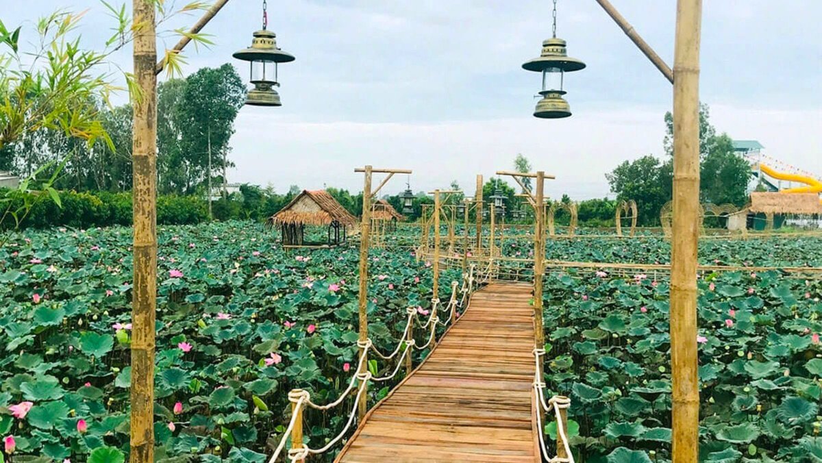 Khu du lịch Đồng Sen Tháp Mười: Địa điểm trốn nắng lý tưởng cuối tuần